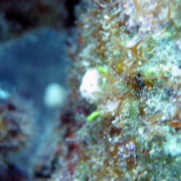 toddcemetaryt146 toddcemetaryt146
