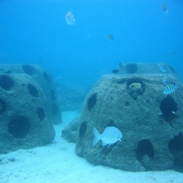 toddcemetaryt154 toddcemetaryt154