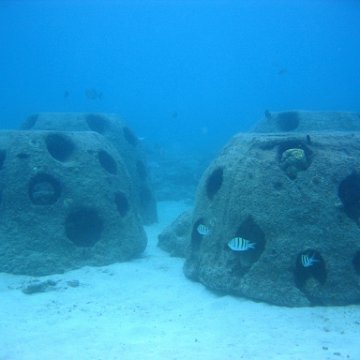 toddcemetaryt155 toddcemetaryt155