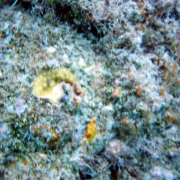 toddcemetaryt168 toddcemetaryt168