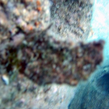 toddcemetaryt205 toddcemetaryt205
