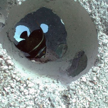 2005sept27tgcmtolympust075 2005sept27tgcmtolympust075