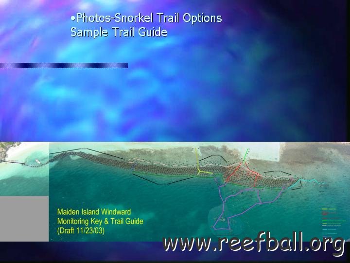 slide25