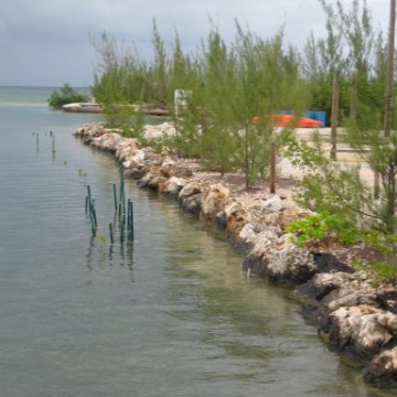 leesphotoscayman 105 leesphotoscayman 105