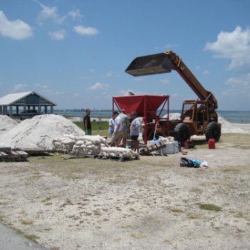 leesphotoscayman 058 leesphotoscayman 058