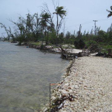 leesphotoscayman 059 leesphotoscayman 059