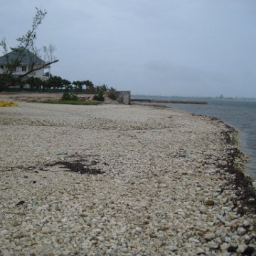 leesphotoscayman 060 leesphotoscayman 060
