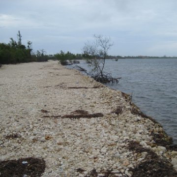 leesphotoscayman 065 leesphotoscayman 065