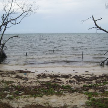 leesphotoscayman 068 leesphotoscayman 068