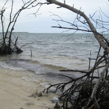leesphotoscayman 075 leesphotoscayman 075