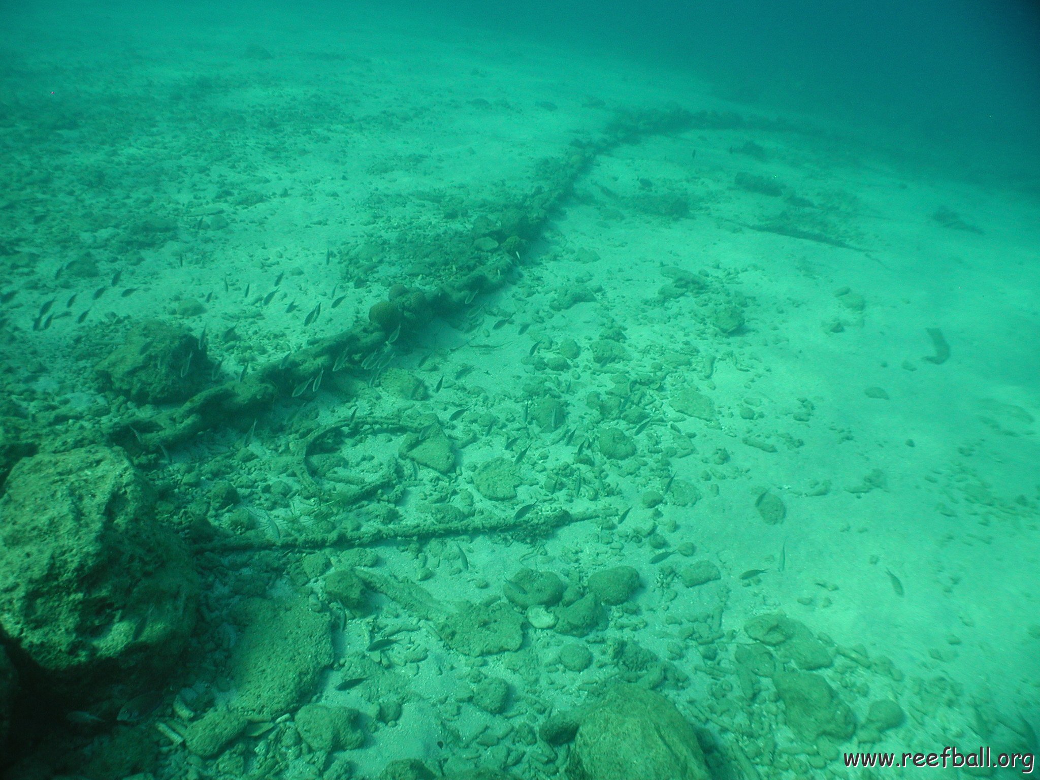 curocaobocaunderwaterleesurvey_139