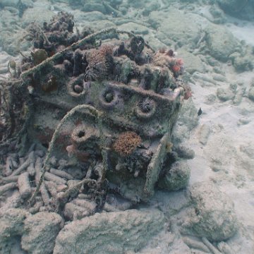 curocaobocaunderwaterleesurvey_169