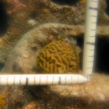 mario_105 mario_105