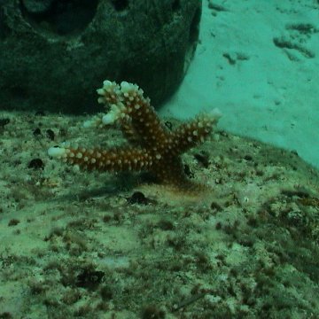 dsc00150 dsc00150
