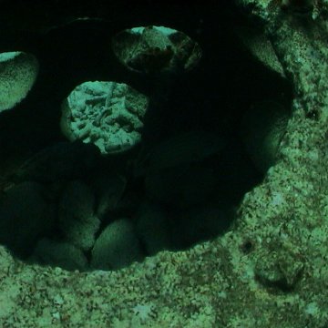 dsc00157 dsc00157
