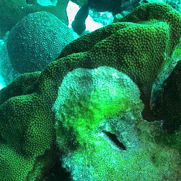 dsc00220 dsc00220