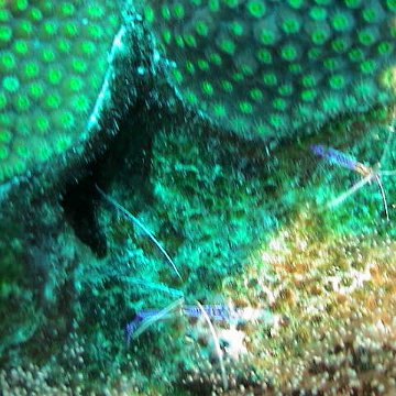 dsc00222 dsc00222