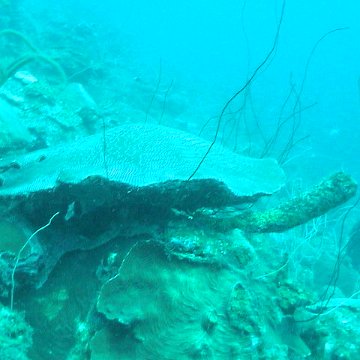 dsc00226 dsc00226
