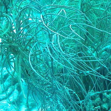 dsc00234 dsc00234