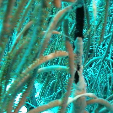 dsc00236 dsc00236