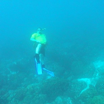 dsc00239 dsc00239