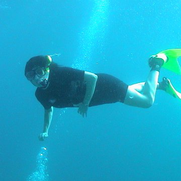 dsc00245 dsc00245