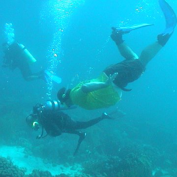 dsc00247 dsc00247