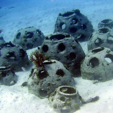 Curacao Reef Ball Projects and Photos