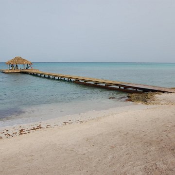 DSC_3139 DSC_3139