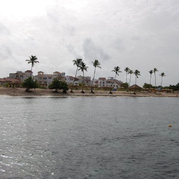 DSC_3147 DSC_3147