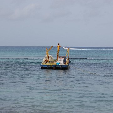 DSC_3154 DSC_3154
