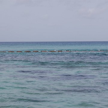 DSC_3156 DSC_3156