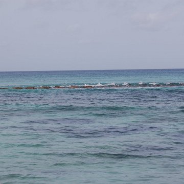 DSC_3157 DSC_3157