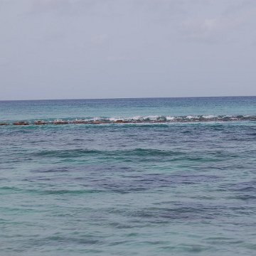 DSC_3158 DSC_3158