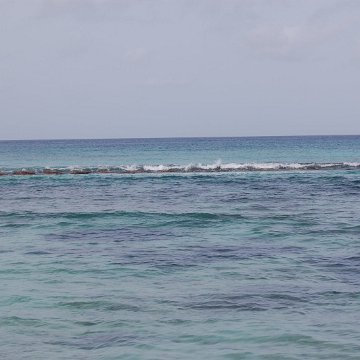 DSC_3159 DSC_3159