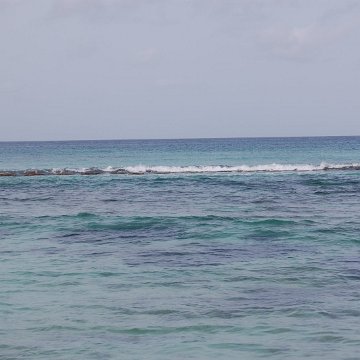 DSC_3160 DSC_3160
