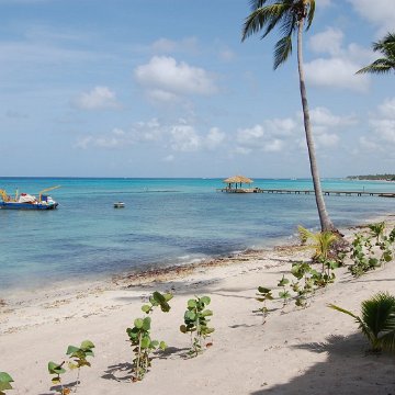 DSC_3186 DSC_3186