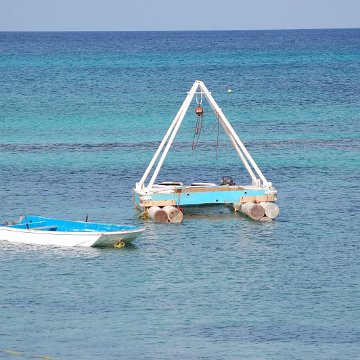 DSC_3193 DSC_3193
