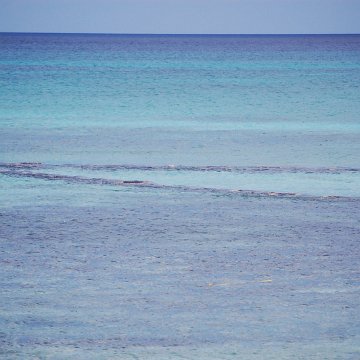 DSC_3206 DSC_3206