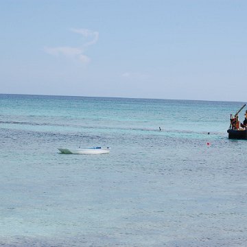 DSC_3208 DSC_3208