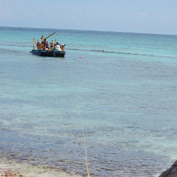 DSC_3223 DSC_3223