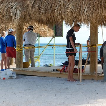 DSC_3226 DSC_3226