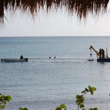 DSC_3243 DSC_3243