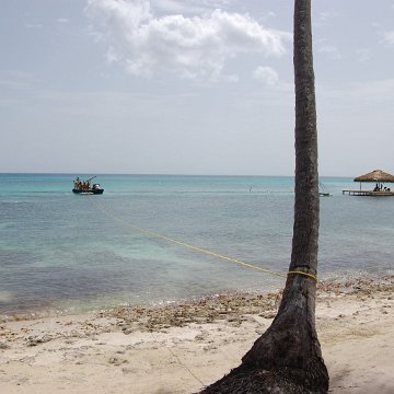 DSC_3248 DSC_3248