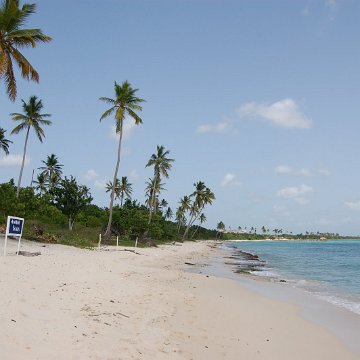 DSC_3269 DSC_3269