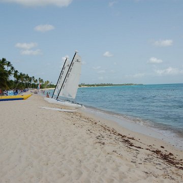 DSC_3272 DSC_3272