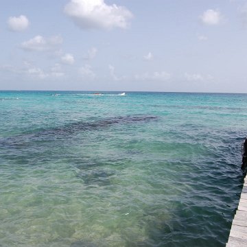 DSC_3304 DSC_3304