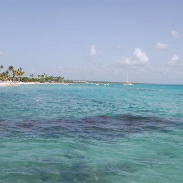 DSC_3306 DSC_3306