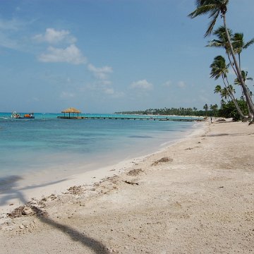 DSC_3345 DSC_3345