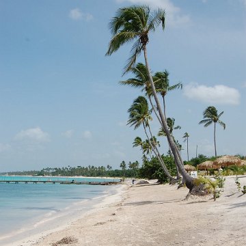 DSC_3348 DSC_3348
